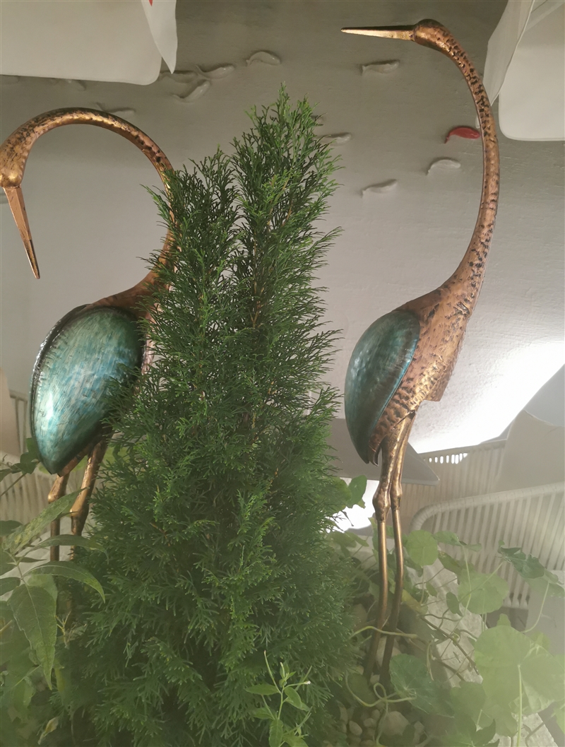 诚聘可報稅:半跑, 酒台, 德語好跑堂, 和广式大厨師