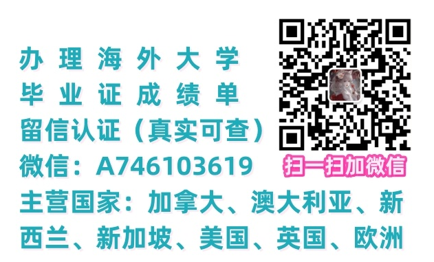 （ 文 { 凭 [ 証 } 书 )【V :A746103619】